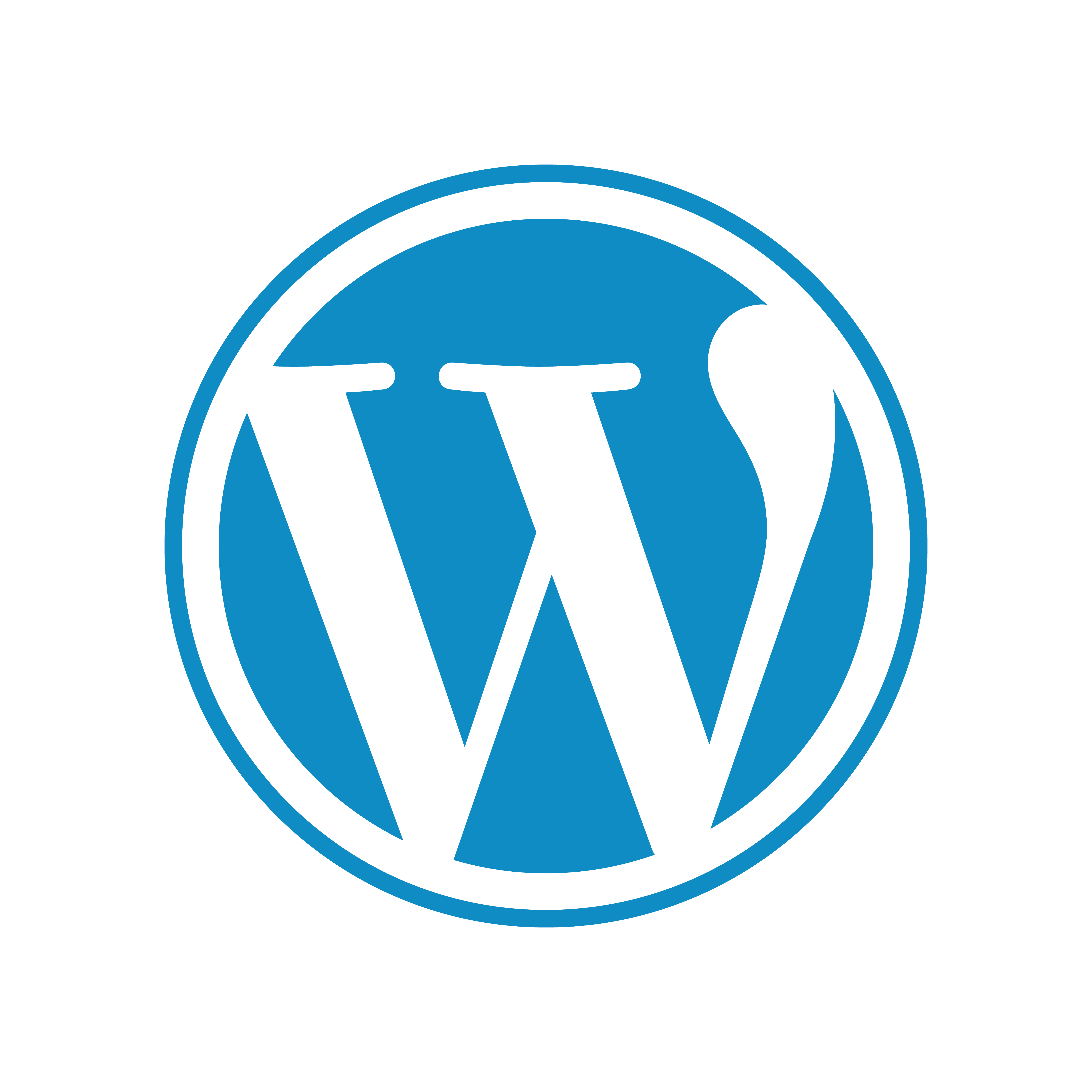 vecteezy_wordpress-logo-png-wordpress-icon-transparent-png_20975579